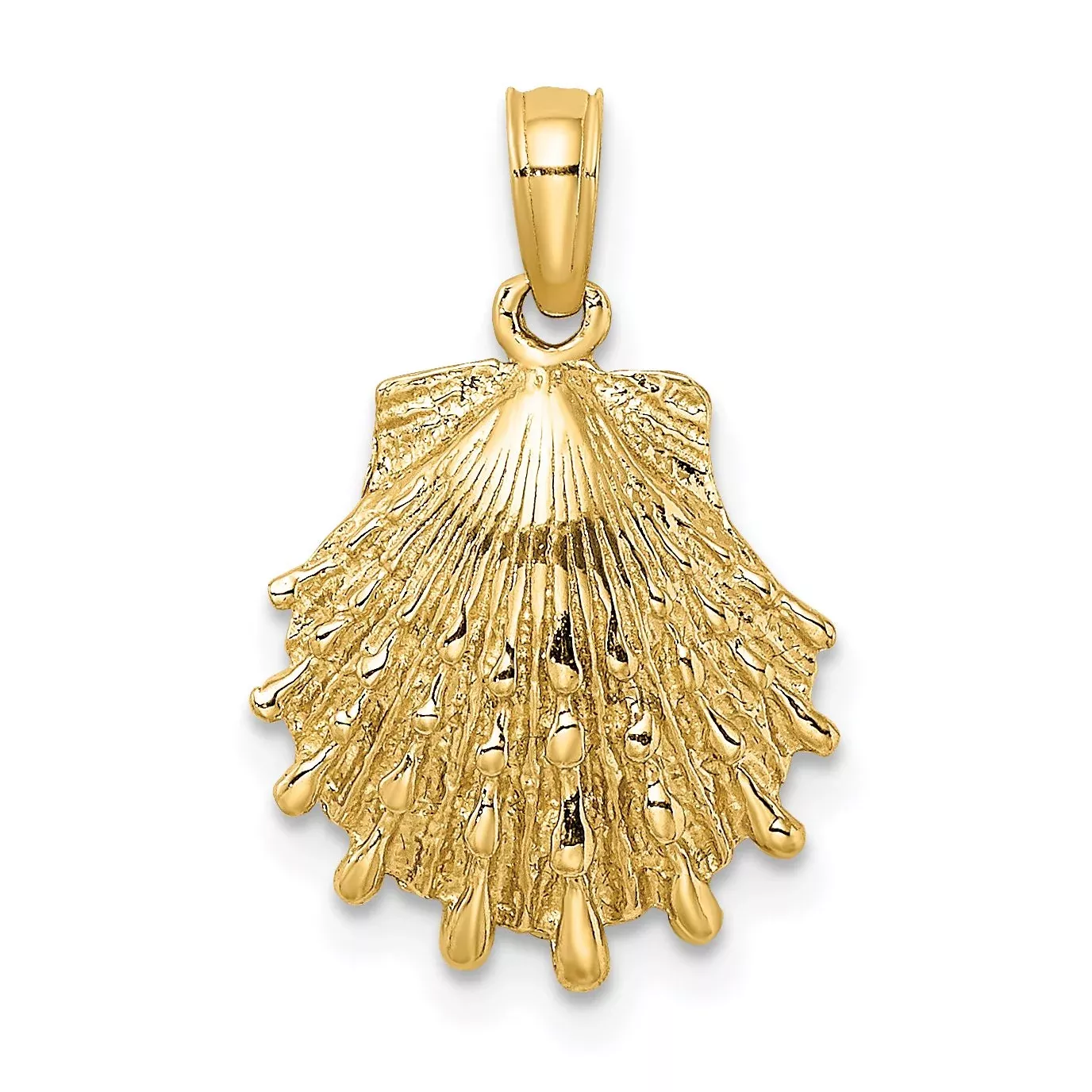 14K Lion's Paw Shell Charm