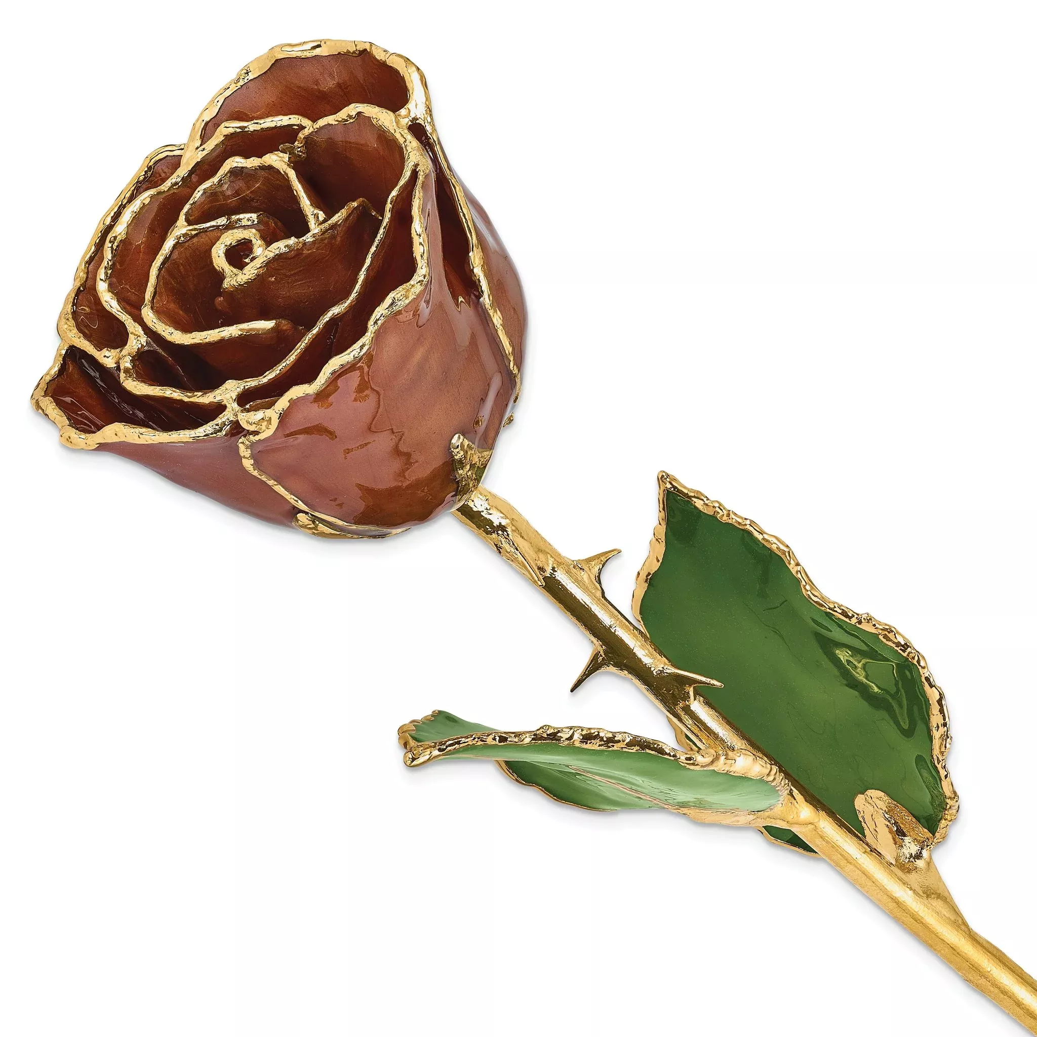 Lacquer Dipped Gold Trimmed Cinnamon Pearl Real Rose
